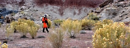 Foto: Paul C. Sokoloff