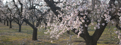 foto: Jordi Roy / Shutterstock