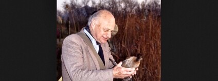 foto: Biel Perello / www.maxnicholson.com