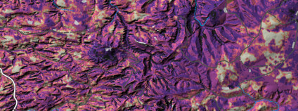 Foto: Botanický ústav AV ČR