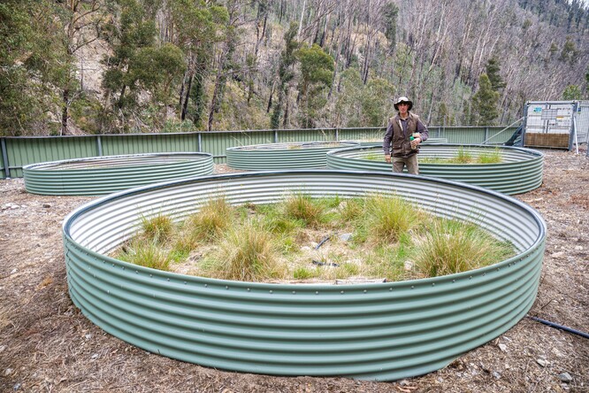 David Hunter v jednom ze zařízení pro paropuchy corroboree. Toto se skládá z kovových „skruží“, jinde jde o velké obdélníkové prostory.