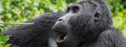 Foto: Miroslav Bobek / Zoo Praha