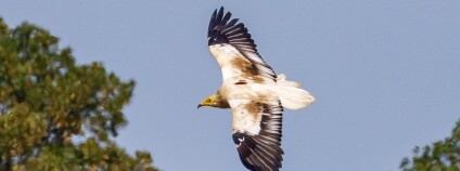 Foto: Miroslav Bobek / Zoo Praha