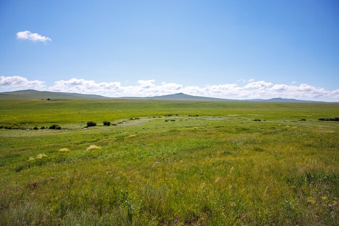 K prvnímu nálezu křižáka pruhovaného (Argiope bruennichi) v Mongolsku došlo na mírném svahu nad meandry Hákovité řeky