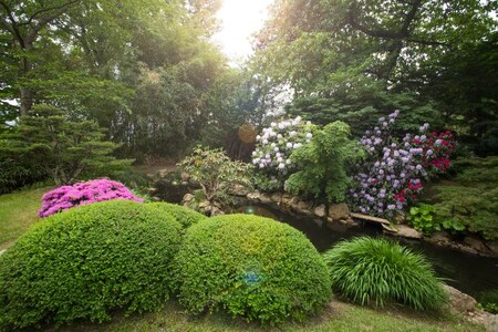 V sobotu v botanické zahradě v pražské Troji začal třináctý ročník výstavy (na obrázku) bonsají a japonské kultury. Bonsaje, které budí dojem zmenšeného stromu, jsou hodnocené mimo jiné i podle stáří. Mezi nejstarší vystavené rostliny se řadí bonsaje pana Valucha z Bonsai musea Isabelia ve Starém Městě u Uherského Hradiště i stromy ze sbírek botanické zahrady převážně získané v Číně, z nichž některé jsou staré i přes 100 let.