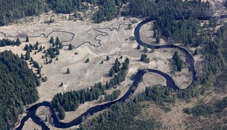 Zalesněné povrchy ve venkovské krajině mohou být až o 20 °C chladnější než otevřená zemědělská prostranství.