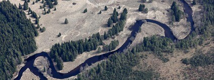 Meandry na Šumavě Foto: Pixabay