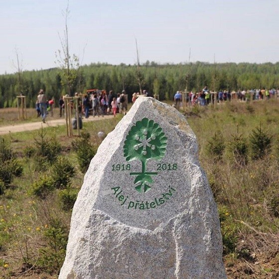 Alej Přátelství na jezeře Medard.