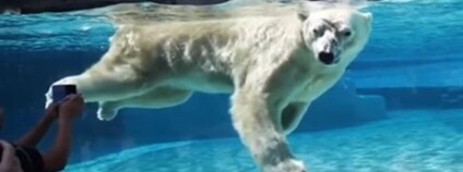 foto:  youtube.com / Breaking News Today