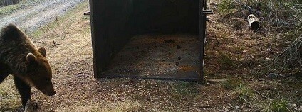 foto:  František Jaskula / Agentura ochrany přírody a krajiny