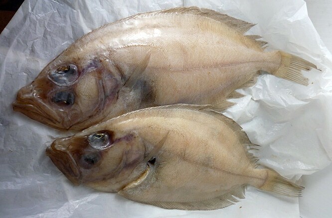 Anglické pojmenování pakambaly má podle rybářů negativní konotace kvůli přízvisku megrim, které znamená mimo jiné migrénu nebo závrať. Nově se bude ryba prodávat pod názvem Cornish sole, které zákazníkům připomene její původ v hrabství Cornwall. Krab pavoučí už nemá u lidí vyvolávat představu nepříjemného členovce, protože ponese název Cornish King crab (cornwallský královský krab).