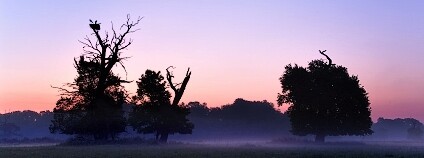 Foto: Jan Miklín / Biologické centrum AV ČR