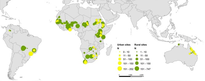 Místa sběru dat v terénu a velikost odebraného vzorku. Velikost kruhu udává počet pozorování pro každou lokalitu (městské oblasti - žlutě; venkovské a přírodní oblasti - zeleně).