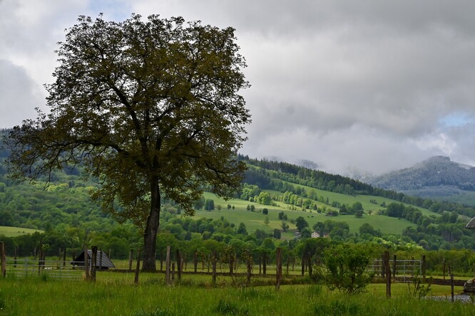 Mikulovice - terénní šetření, jaro 2025. Mikulovice - terénní šetření, jaro 2025.
