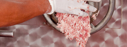 Mletí masa Foto: 29september Shutterstock