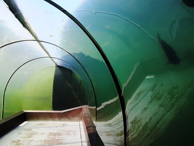 Areál Živá voda byl otevřen v roce 2012. Představuje život ve sladkovodních vodách, jeho velkou atrakcí je podvodní tunel, díky němuž lidé mohou pozorovat prostředí pod hladinou.