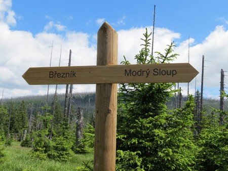 Správa Národního parku Šumava letos v létě informovala, že by se o případném otevření trasy mohlo rozhodnout příští rok