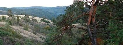 Mohelenská hadcová step Foto: Jiří Sedláček Wikimedia Commons