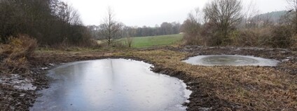 Mokřad Zašová Foto: Miroslav Dvorský ČSOP