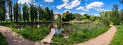 Mokřad Jablonné Foto: Čmelák – Společnost přátel přírody
