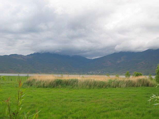 Odborníci upozorňují, že zatímco Čína v ochraně druhové rozmanitosti zaznamenává doma dílčí úspěchy, v zahraničí se až dosud nesnažila o vytvoření "čistých" dodavatelských řetězců pro svůj průmysl.