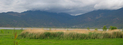 Mokřad v Číně Foto: Jocelyn Saurini Flickr