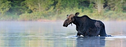 foto: Free-Photos / pixabay.com