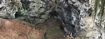 V propasti se vyskytují mimo jiné vzácné endemity (organismy, vyskytující se pouze na určitém místě).