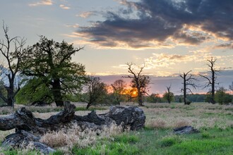 Při mapování jihomoravských luhů prošli vědci více než 14 tisíc hektarů lesů a luk a zaznamenávali údaje o všech významných dřevinách.