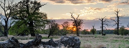 Foto: David Hauck / Biologické centrum AV ČR