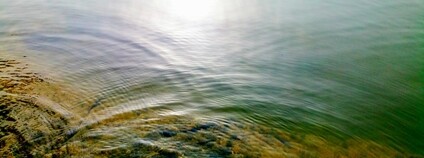 Foto: Katsujiro Maekawa Flickr