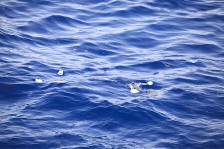 V oceánech každoročně skončí čtyři až 12 milionů tun plastů, ale vědci soudí, že na povrchu vod je jen 250.000 tun. A 99 procent ze všeho, co lidé za desítky let do moří odhodili, není k nalezení. / Ilustrační foto
