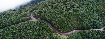 Foto: marxelocinema / pixabay.com