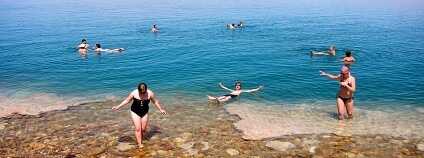 Foto: David Jones 大卫 琼斯 / Flickr