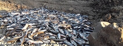 Bečva Foto: HZS Olomouckého kraje