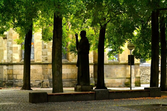 Münster v záchraně městských stromů částečně spoléhá i na obyvatele, kteří se zaléváním mohou vypomoci, neboť technické služby nestíhají. Za tímto účelem město rozmístilo 40 velkých nádrží, k řadě stromů pak usadilo vaky, které vodu postupně uvolňují.