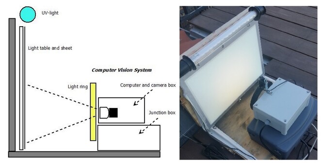 Zařízení, které vědcům můry i určí.
