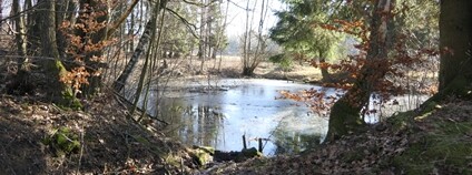 Místo pro přírodu Na Skřivánku Foto: Jan Moravec ČSOP