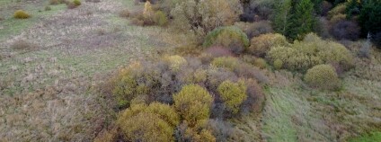 Foto: Vojtěch Kodet / ČSOP