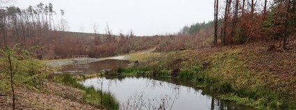 Vojenské lesy dokončily tři nová vodní díla na Drahanské vrchovině - lokalita Na Valech. Foto: Vojenské lesy a statky ČR
