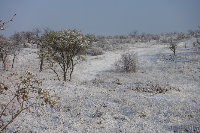 zimní Načeratický kopec