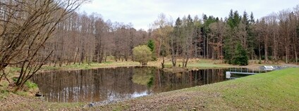 Nádrž U Kostelíka. Foto: Lesy ČR