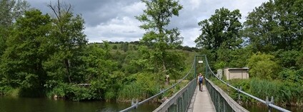 Národní park Podyjí - Šobeská lávka Foto: Pudelek (Marcin Szala) Wikimedia Commons