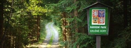 Foto: Aktron / Ekolist.cz / Wikimedia Commons