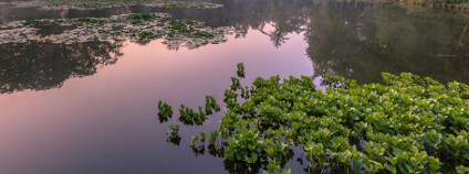 Natura 2000 Foto: CreativeNature R.Zwerver / Shutterstock