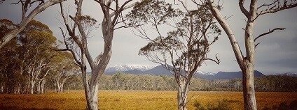 Foto: leetyplops pixabay.com