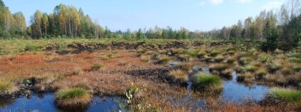 Foto: Richenza / Wikimeda Commons