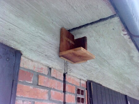 Loni i letos neobsazená hnízdní podložka tamtéž.