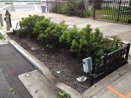 Radnice chtěla podniknout něco proti přívalovým dešťům. Lidem se to ale nelíbí. Čistě esteticky.