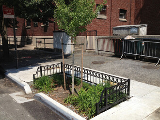 Plůtek bratru za 1000 dolarů.